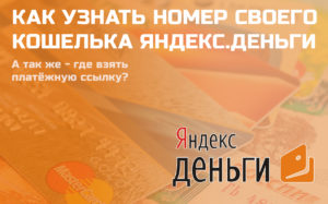 Номер кошелька Яндекс. Денег, для чего нужен, где можно посмотреть