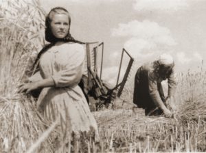 Какие были налоги с населения, предприятий и колхозов в СССР?