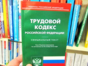 В Трудовом кодексе хотят закрепить студенческую практику и стажировку