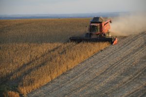 Россия хочет продавать зерно за границу через НКЦ – по аналогии с «газовой» схемой