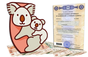 Все о материнском капитале в 2022 году: как получить и куда использовать, суммы и индексация