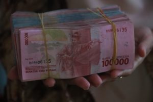 Из-за перехода на нацвалюты в торговле с Индией у России скопилось 40 млрд рупий