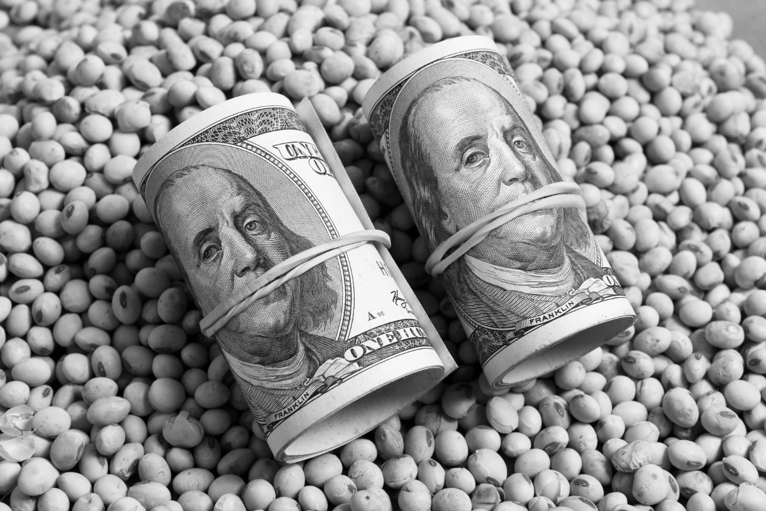 Рост международных резервов России: плюс 2 миллиарда долларов за неделю