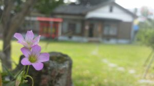 Как подготовить дачу к продаже: советы эксперта