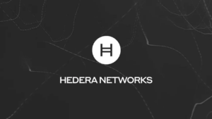 Что такое Hedera: как работает и зачем нужна эта сеть