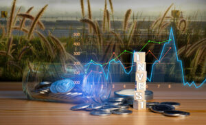 Инвестиции без риска: Замещающие облигации и юаневые активы как альтернатива валюте