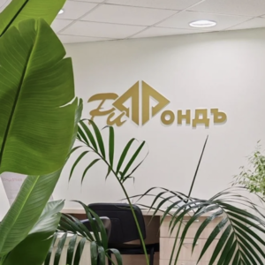 Рыбинский Инвестиционный Фонд