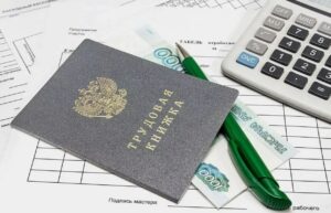Депутат Камнев разъяснил, когда обучение войдет в страховой стаж