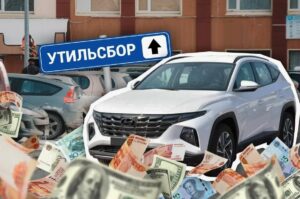 Адвокат Борзенко объяснила, кому из россиян грозит доплата утильсбора