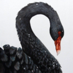 Black Swan