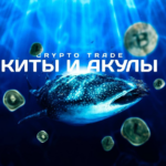 Дмитрий Катушадзе