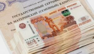 Депутат Коломейцев объяснил порядок выплат из маткапитала на детей до трех лет