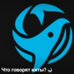 Что Говорят Киты