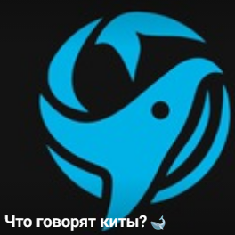 Что Говорят Киты