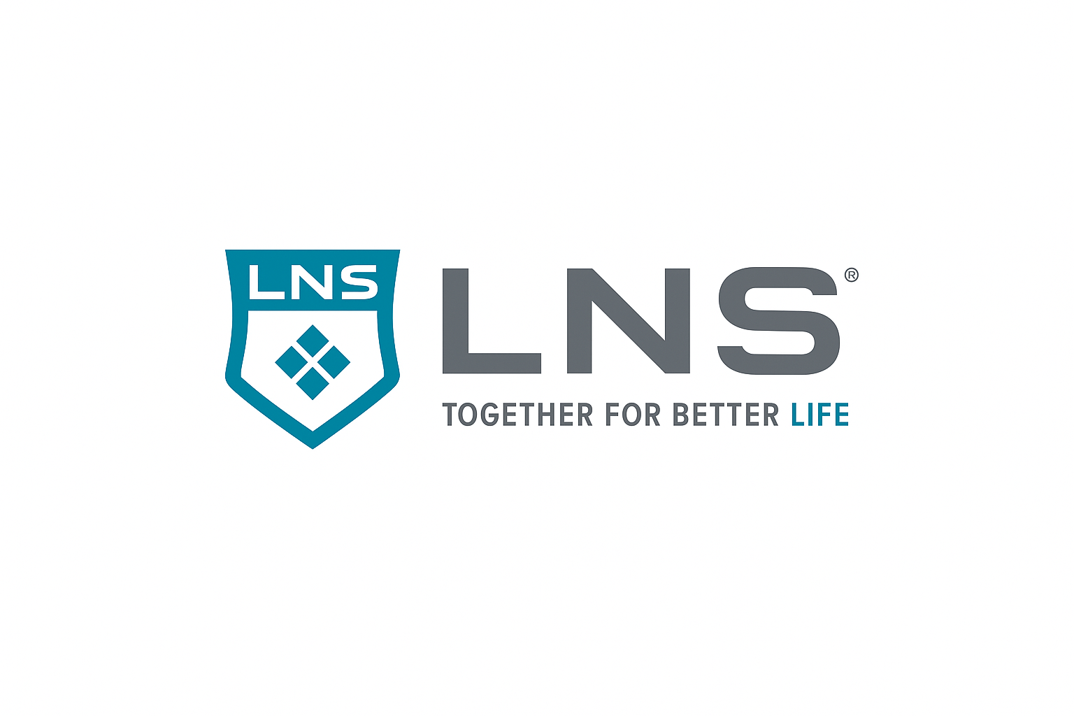 LNS International