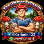 Майор Мухомор