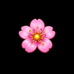 Sakuragiftbot