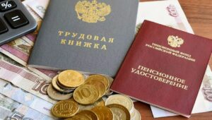 Юрист Виноградов объяснил, как найти потерянные пенсионные баллы