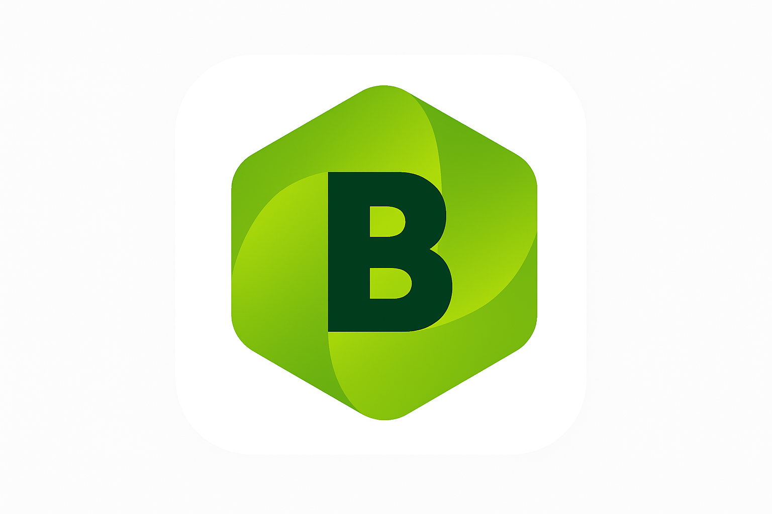 B2pay