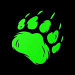 Bear AI