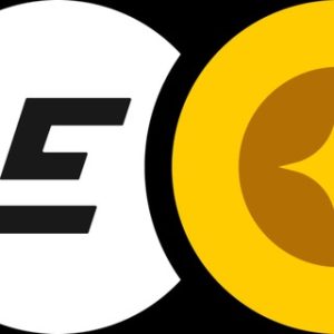 Emcd Coinhold Wallet