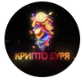 Крипто Буря