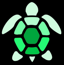 Qrypto Turtle Wallet
