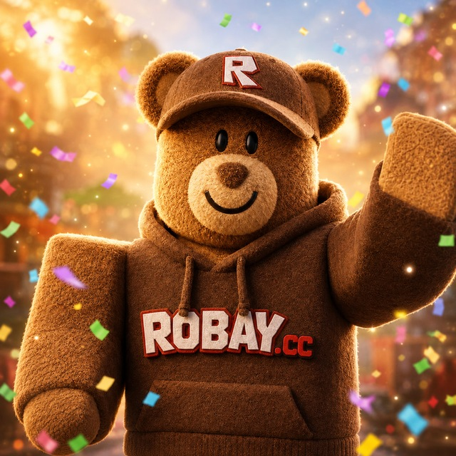 robay solutions net worth