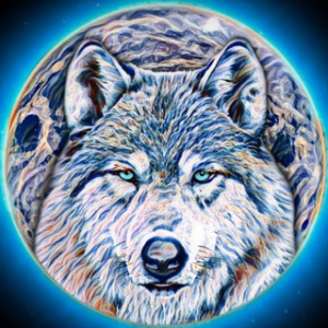 Winter Wolves Trading