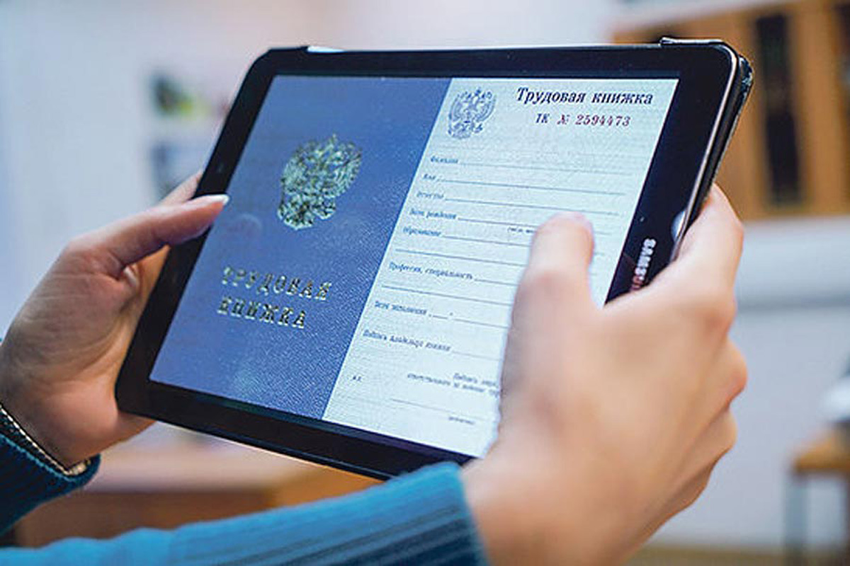 Депутат Чаплин назвал способы исправить записи в электронной трудовой